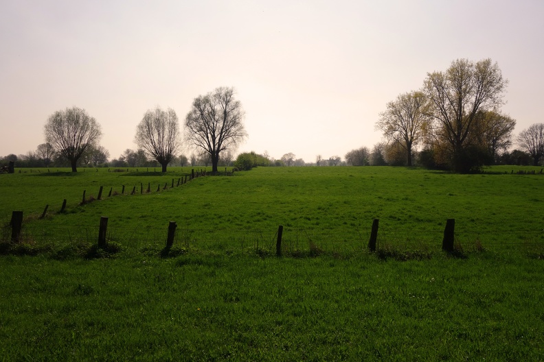 Niederrheinische Auen im April